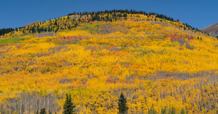Amazing Fall Colors Western Colorado 2018