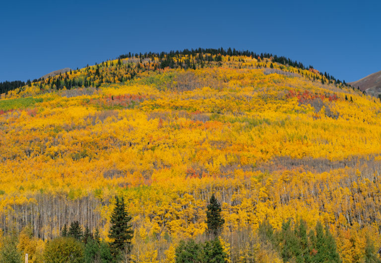 Amazing Fall Colors Western Colorado 2018