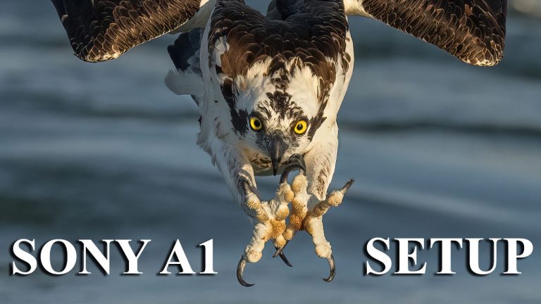 Sony A1 Setup Guide Is Live!