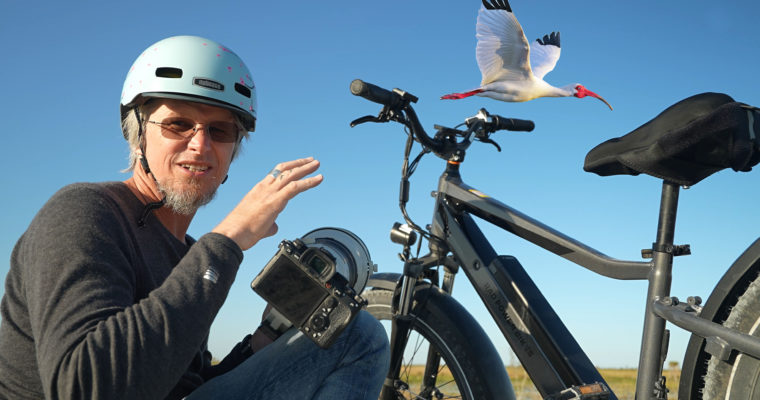 Bird Photography and an Electric Bike! – Too Much Fun – White Ibis Rookery – Sony A1