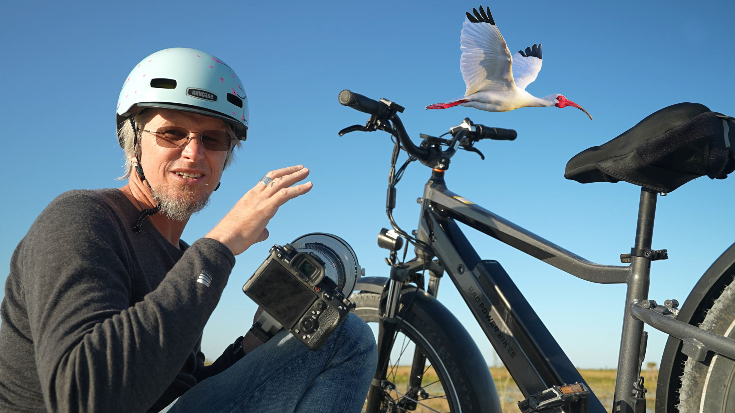 Bird Photography and an Electric Bike! – Too Much Fun – White Ibis Rookery – Sony A1