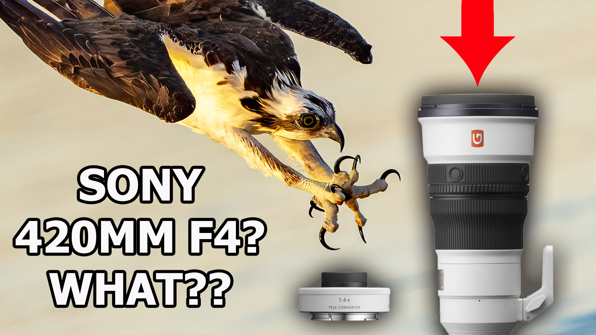 Sony 420MM F4? What???? 300mm 2.8 + 1.4 Tele – Beautiful Combo for bird and wildlife photography.