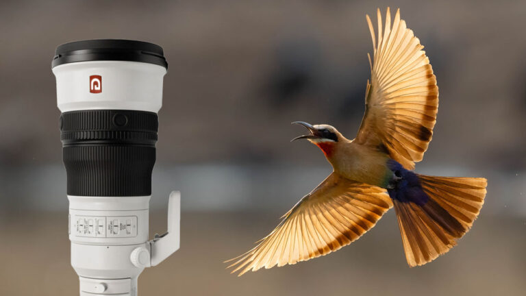 African Safari Hide Sony A1: A Day in Zambia’s Last Watering Hole Blind.